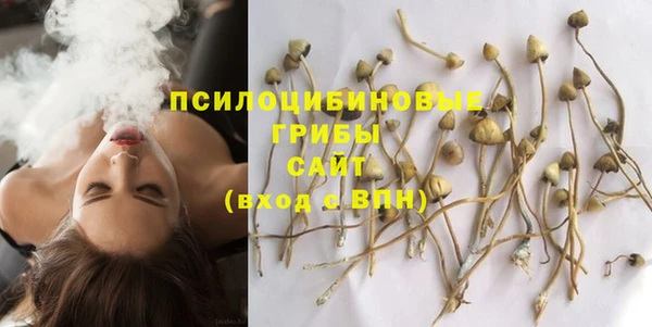 COCAINE Белокуриха