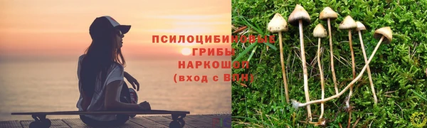 прущая мука Белоозёрский